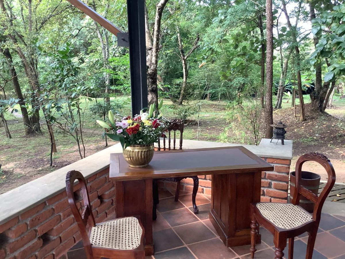 Mind Body And Soul Hotel Dambulla Exterior photo