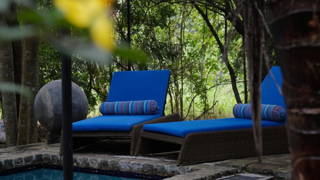 Mind Body And Soul Hotel Dambulla Exterior photo