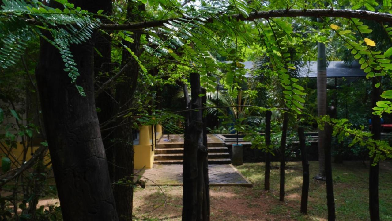 Mind Body And Soul Hotel Dambulla Exterior photo