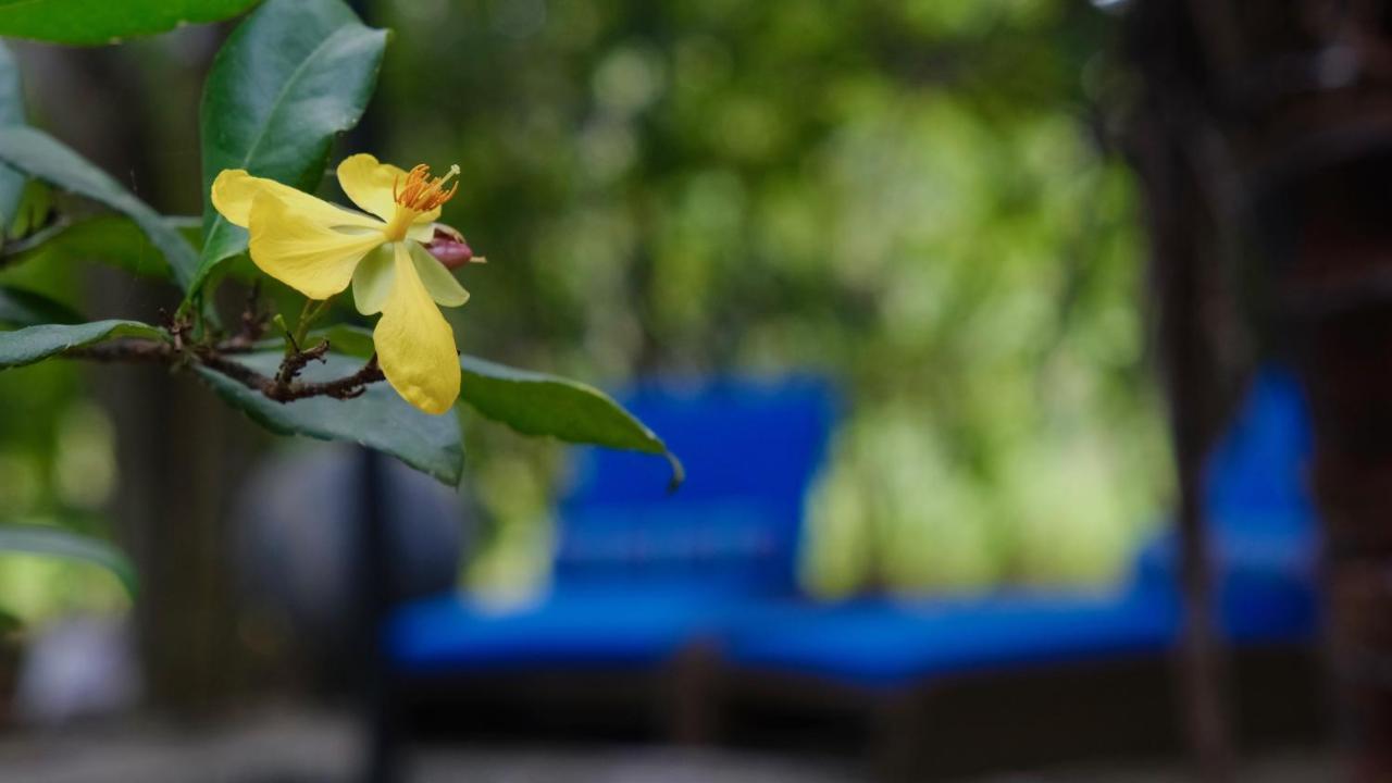 Mind Body And Soul Hotel Dambulla Exterior photo