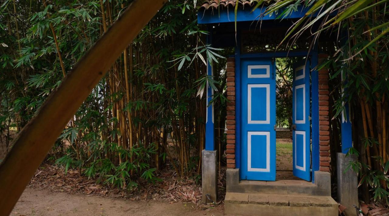 Mind Body And Soul Hotel Dambulla Exterior photo