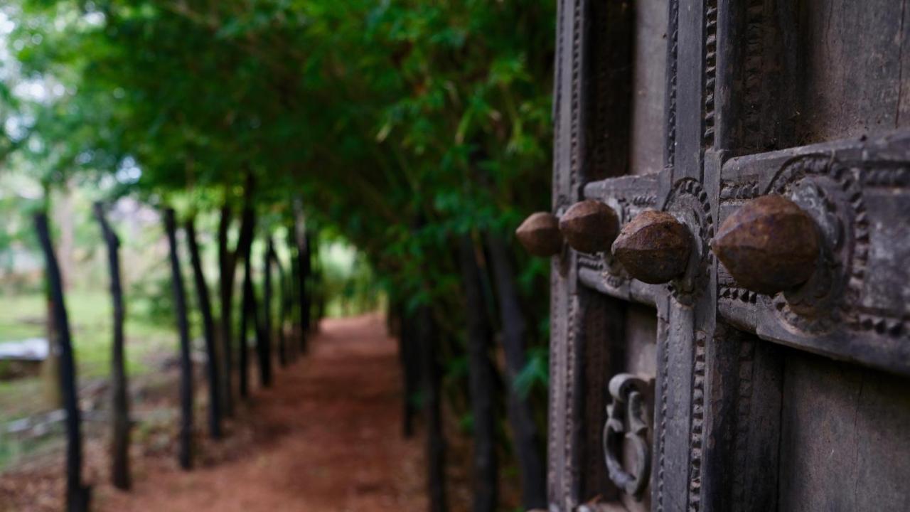 Mind Body And Soul Hotel Dambulla Exterior photo