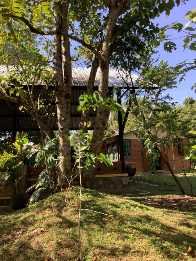 Mind Body And Soul Hotel Dambulla Exterior photo
