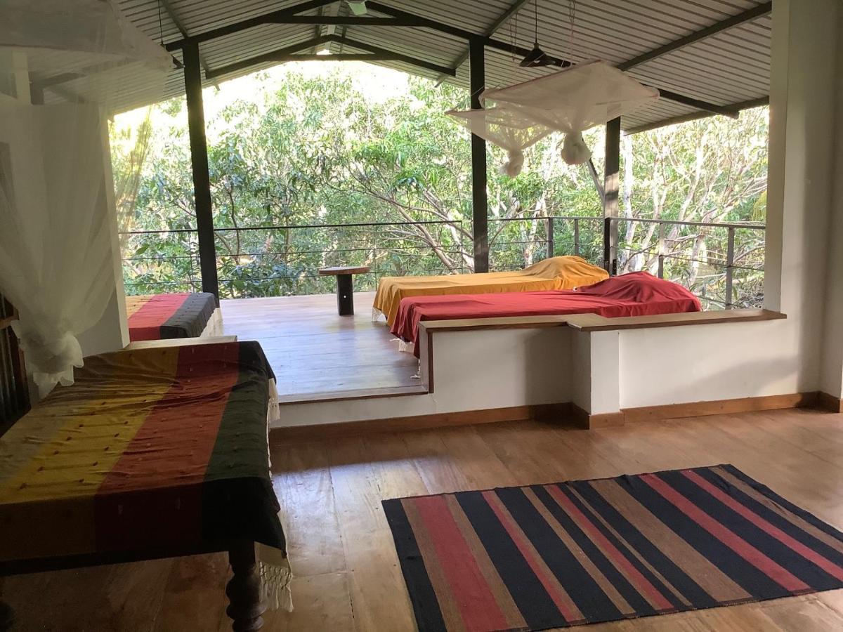 Mind Body And Soul Hotel Dambulla Exterior photo
