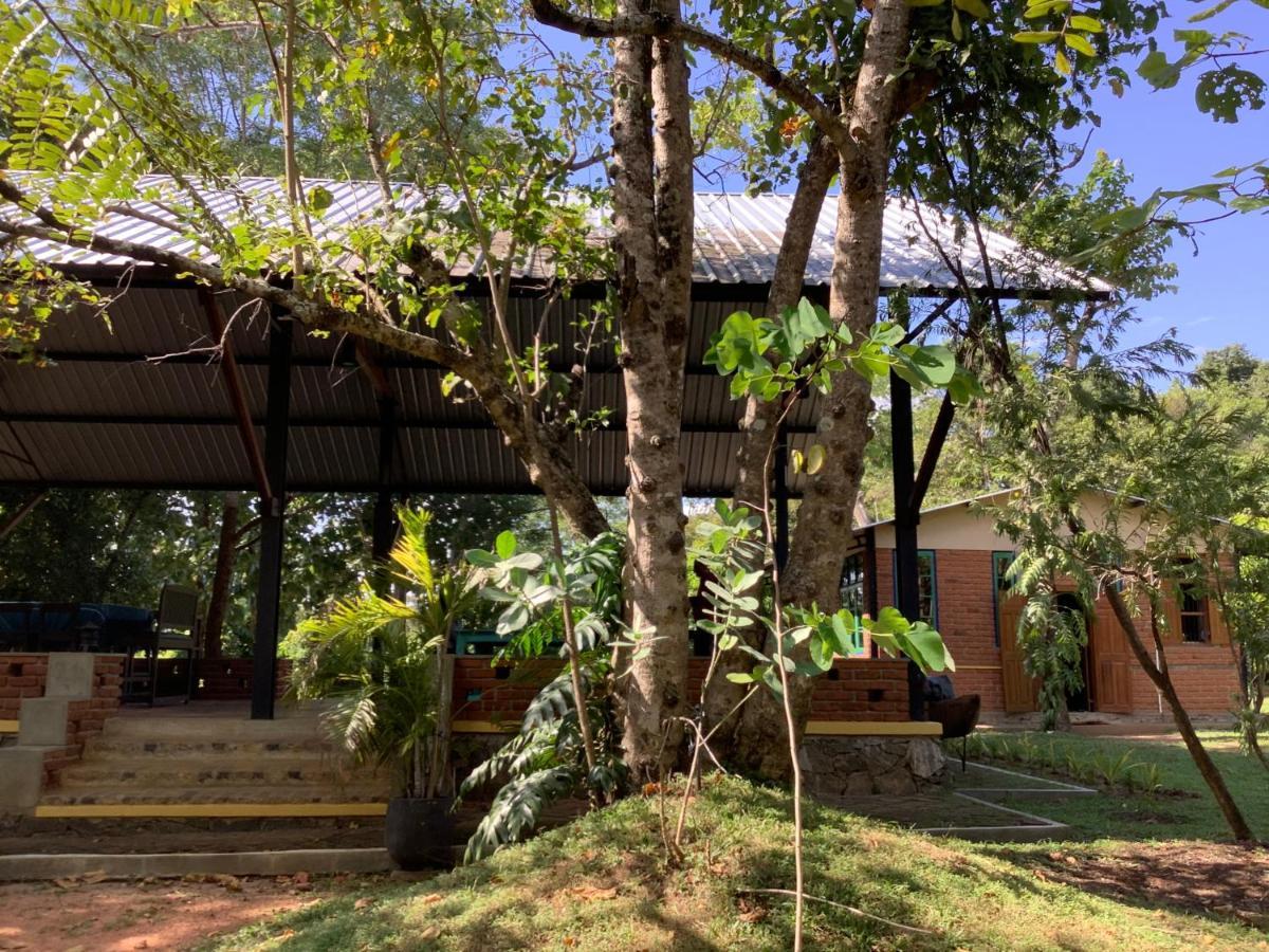 Mind Body And Soul Hotel Dambulla Exterior photo